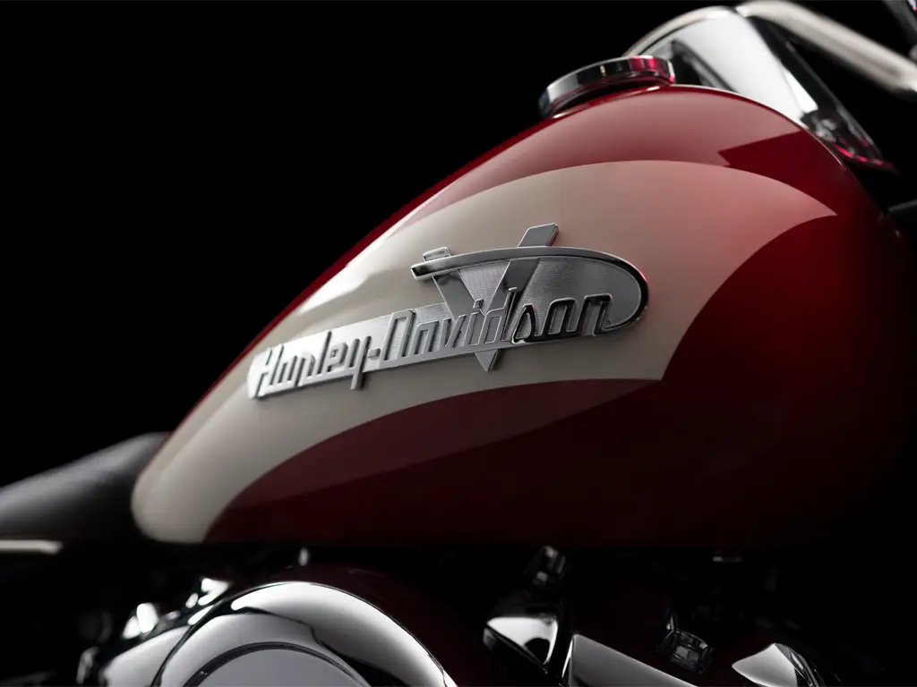2024 Harley-Davidson Icons